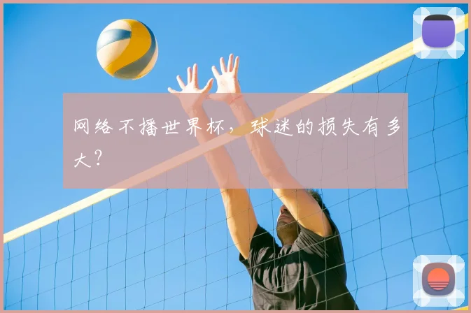 网络不播世界杯,球迷的损失有多大?