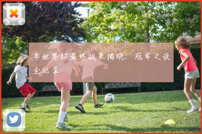 年世界杯最终战果揭晓：冠军之夜全记录