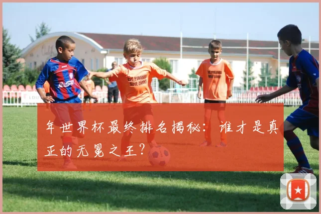 年世界杯最终排名揭秘：谁才是真正的无冕之王？