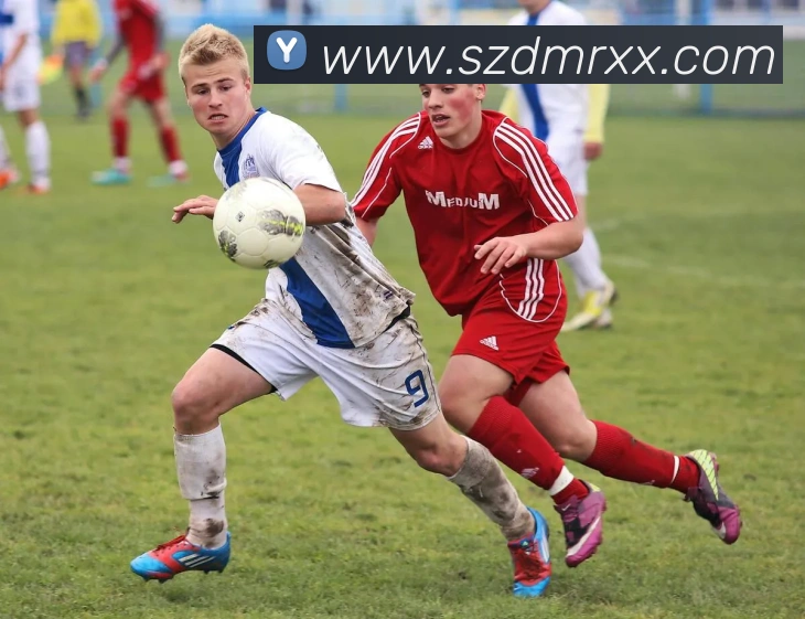 bobapp官网首页品牌故事