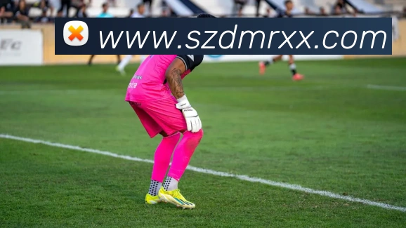 bobapp官网首页服务体系